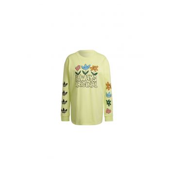 Bluza  GRAPHIC LS HC5428