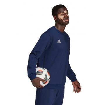 Bluza de trening pentru fotbal Entrada 22