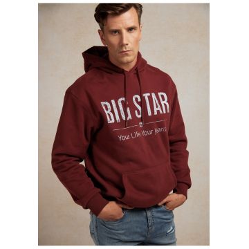 Hanorac regular fit cu imprimeu logo Ashlyno
