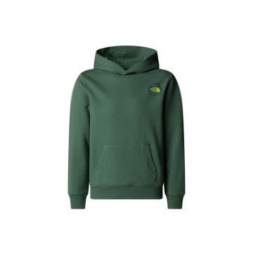 Hanorac Baieti The North Face Boy S Graphic Relaxed Hoodie Green