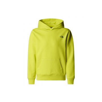 Hanorac Baieti The North Face Graphic Relaxed Hoodie Spr Green