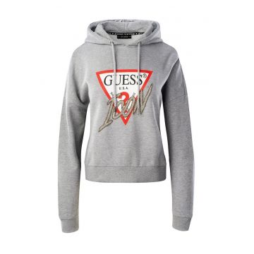 Hanorac cu gluga Iconic - Gri - Gri